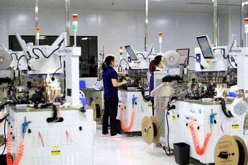 泸州纳溪 抢抓新质生产力机遇 为高质量发展蓄势赋能